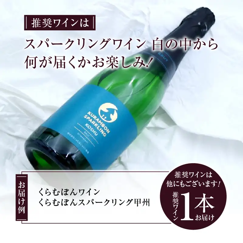 ワイン 勝沼ぶどうの丘推奨 スパークリングワイン 白 1本（KBO）B-681