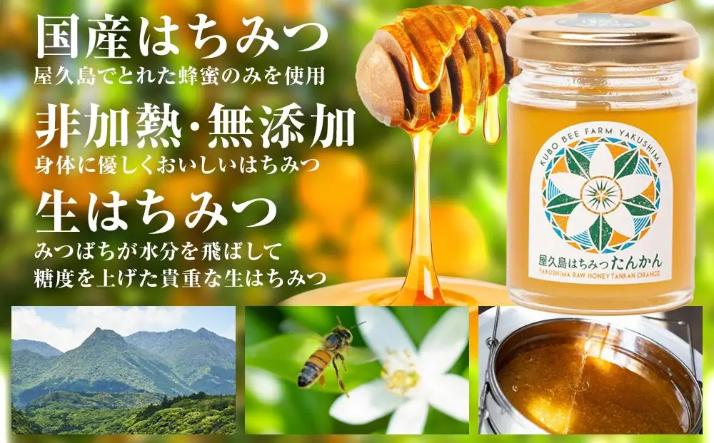 【非加熱・無添加】屋久島産 はちみつ（たんかん）120g×1個＜久保養蜂園 屋久島ファーム＞【 はちみつ】
