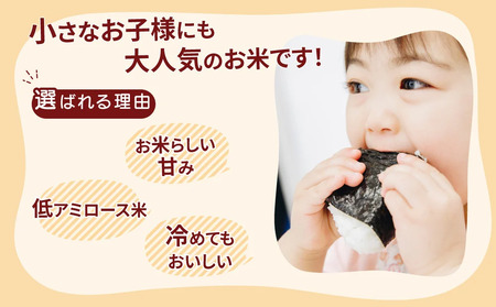 令和7年産 茨城県産 ミルキークイーン 玄米 2kg×8袋｜このお米は石抜き機、色彩選別機の処理済みです ※離島への配送不可 ※2025年10月下旬～2026年7月下旬頃に順次発送予定