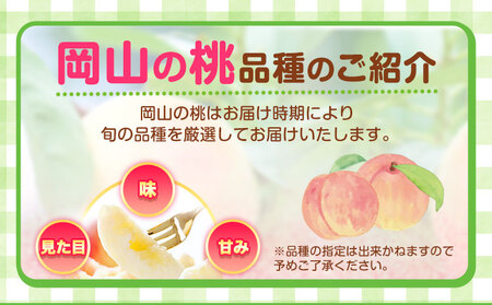 岡山白桃 6玉【配送不可地域あり】