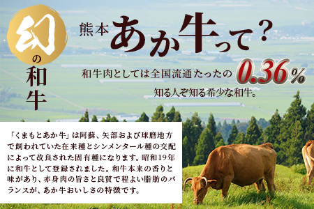 【定期便6回】熊本あか牛 切り落とし 計6Kg (500g×2)×6回 国産 牛肉 冷凍 熊本 熊本県産 あか牛 赤牛 切り落とし 041-0138
