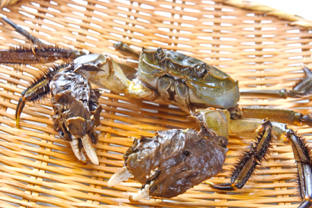 A-1176 水質日本一常連の清流 高津川　天然川がに 500g