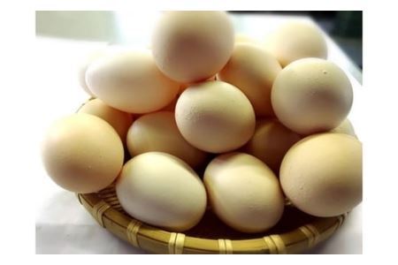 ひまわりたまご紅白10個・パウンドケーキ（ショコラ）1本セット　卵 鶏卵 たまご ショコラ スイーツ デザート お菓子 洋菓子 山梨 富士川町