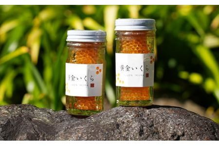 【幻の珍味】「黄金いくら」2本セット（ヤマメの卵醤油漬け） いくら イクラ 魚卵 小分け　数量限定 旬 人気 贈答 美味しい ヤマメ 鱒 冷凍 お取り寄せ