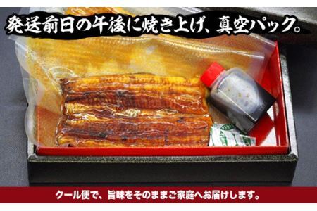 国産炭火焼うなぎ 蒲焼2尾（大串）国産 鰻 2人前 たれ付 山椒付 約80g×4 小分け