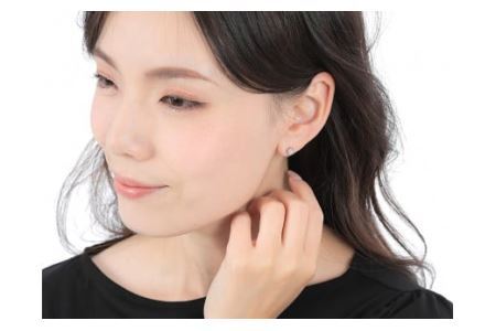 プラチナダイヤ ピアス トータル 0.2ct E280DI-P ダイヤ プラチナ ジュエリーアクセサリーレディース