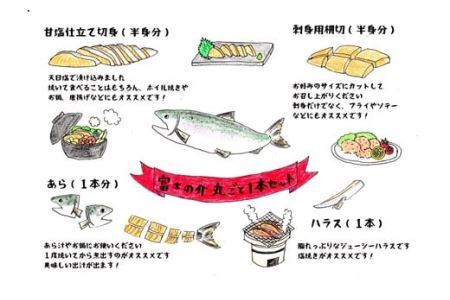 【山梨県オリジナル魚】「富士の介」丸ごと一本セット　忍沢養殖場 サーモン ブランド魚 刺身 甘塩仕立て あら 刺し身 ご当地  サーモン  ブランド魚 あら フィーレ ふじのすけ ご当地サーモン 山梨 やまなし 富士川町