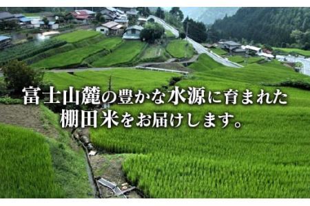 ★令和7年度産★特選米10kg　天日干し 精米済 山梨県富士川町産 棚田米 お米 こしひかり コシヒカリ 平林