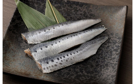 【6ヶ月定期便】 いわし フィーレ 加熱用 合計約12kg 約2kg×6回 鰯 イワシ