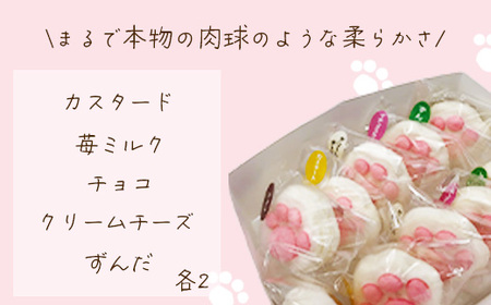 こねこのしおちゃん　10個入　【04203-0774】