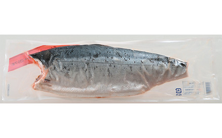 紅鮭 フィレ 1.6kg 甘塩 鮭