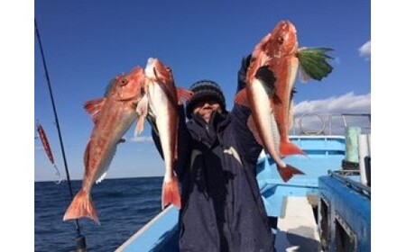 【釣り船乗船券】征海丸（1名様分） 乗船体験 体験 チケット