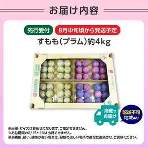 《先行受付》すもも（プラム）約4kg 2種以上【2026年8月中旬頃～発送予定】【山形プラム・大江町産】 001-076