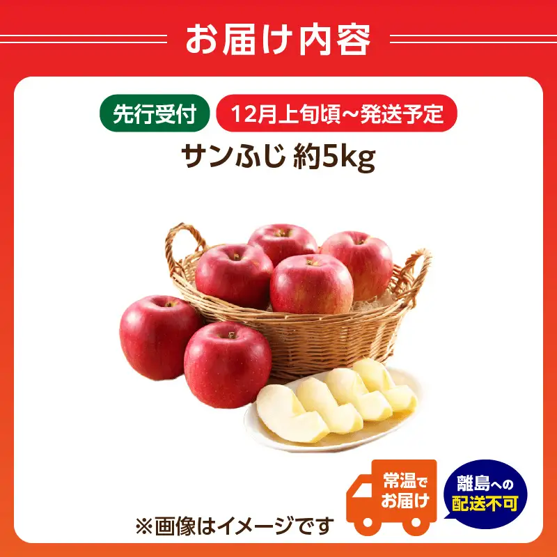 《先行受付》サンふじ約5kg 【2026年12月上旬頃～発送予定】【山形りんご・大江町産】 001-083