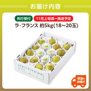 《先行受付》ラフランス 約5kg（18～20玉） 【2026年11月上旬頃～発送予定】【山形洋梨】 ラフランス 山形県 大江町 フルーツ 果物 西洋梨 デザート 洋梨 梨 ナシ 大玉 大きい JA さがえ西村山 001-082