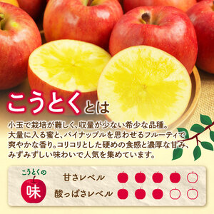  《先行受付》特選こうとくりんご約2.5kg 【2026年11月中旬頃～発送予定】【大江町産・山形りんご・大地農産・11月・12月】 028-024