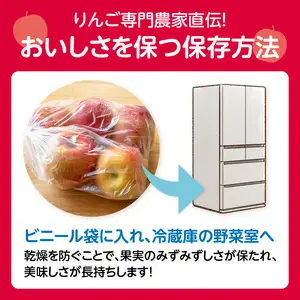 《先行受付》贈答規格 旬のりんご詰合せ約3kg（サンふじ確約3種以上）特秀～秀 大江町産【2026年12月上旬頃～発送予定】【大江町産・山形りんご・りんご専科 清野】 015-052