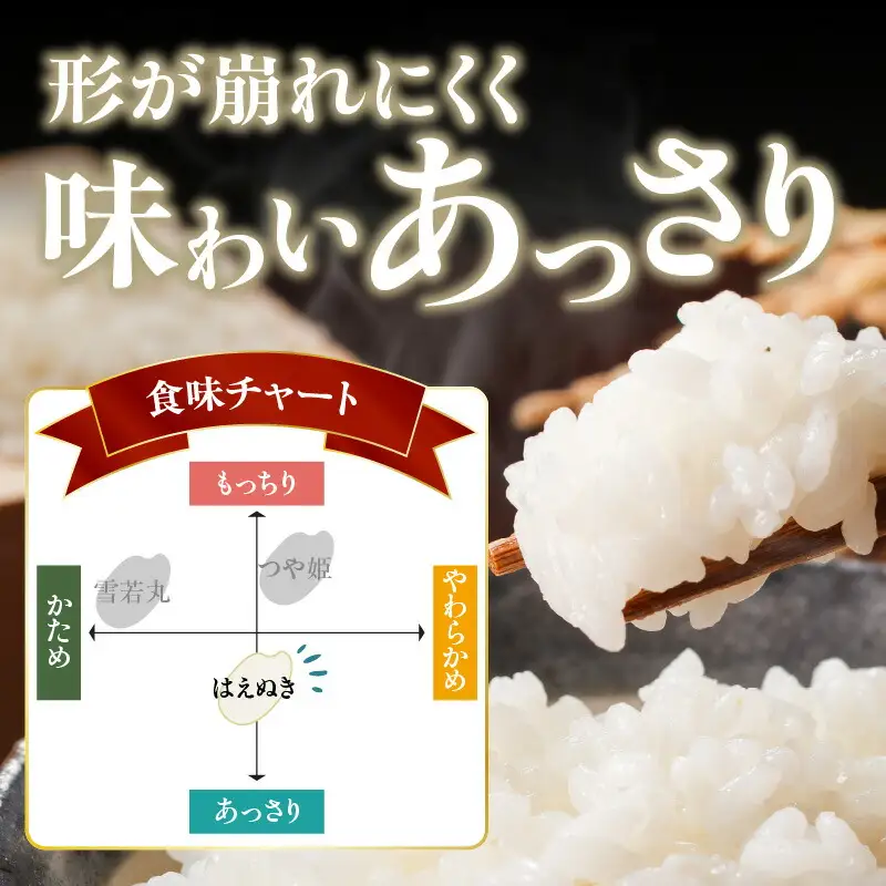 大江町産 はえぬき 10kg(5kg×2袋)【山形県産】【2025年度産米】 001-086