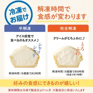 蝶谷の生パイ　10個セット 007-009