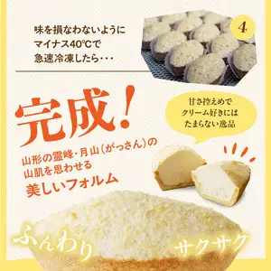 蝶谷の生パイ　20個セット 007-010