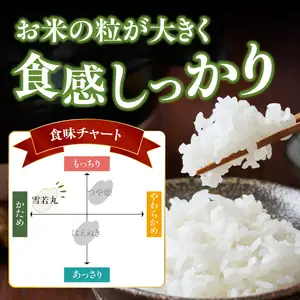 《3ヶ月定期便》特別栽培米 雪若丸 5kg×3ヶ月(計15kg)【山形県産 特別栽培米】【2025年度産米】001-T10