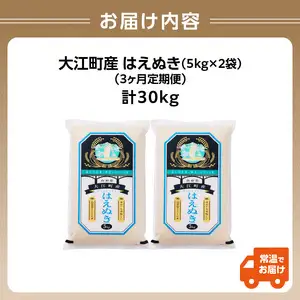 《3ヶ月定期便》大江町産 はえぬき 10kg(5kg×2袋)×3ヶ月(計30kg)【山形県産】001-T24