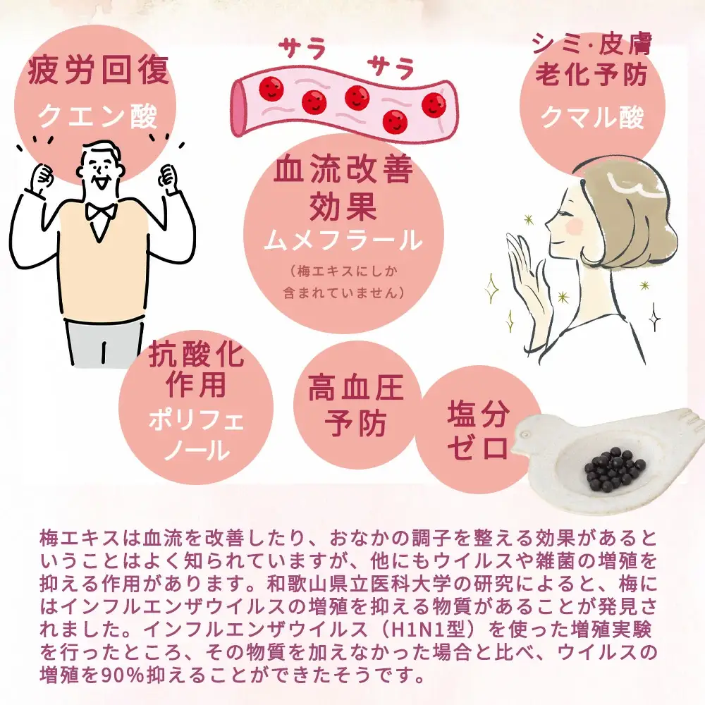 梅エキス(粒)  60g  約260粒 umyssho002A【umyssho002A】