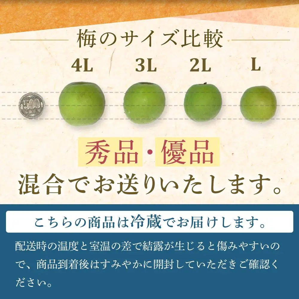 【2026年5月下旬以降発送】紀州南高梅(青梅) 5kg〈大粒/3Lサイズ〉