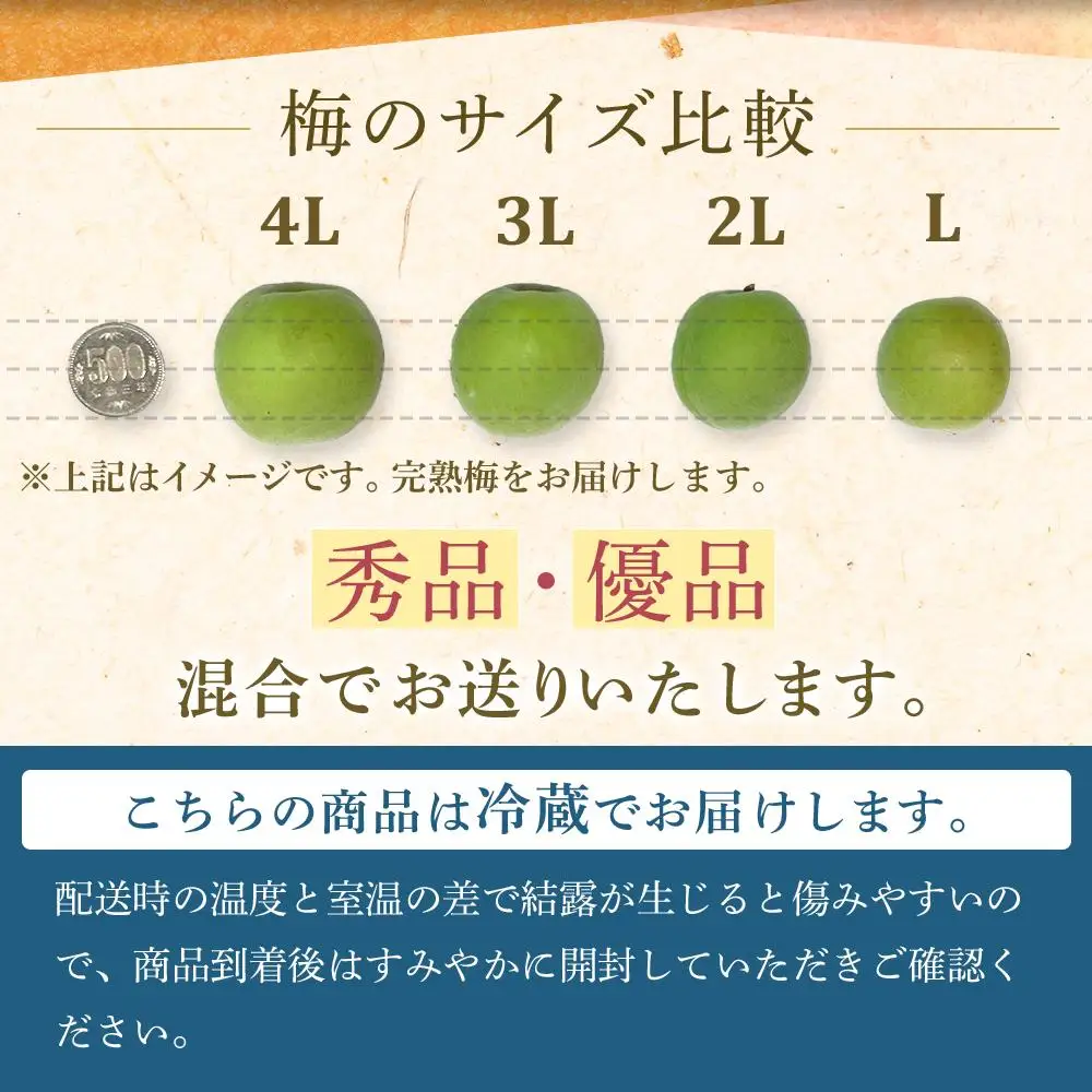 【2026年6月上旬以降発送】紀州南高梅(完熟梅) 5kg〈2Lサイズ〉