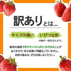 ＜期間限定！2026年3月下旬以降順次発送予定＞＜訳あり＞ 香川県産 さぬきひめいちご(約1kg) 国産 果物 苺 イチゴ フルーツ 産地直送 冷蔵便 【man106・man107】【Aglio nero】