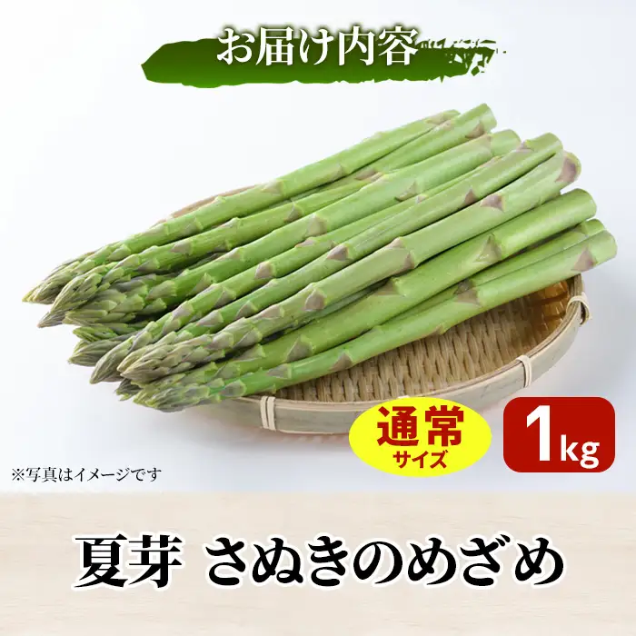 ＜期間限定！2026年6月上旬以降順次発送＞夏芽！さぬきのめざめ アスパラガス(約1kg) 香川県 国産 野菜 アスパラ 新鮮 冷蔵便 【man084-A】【Aglio nero】