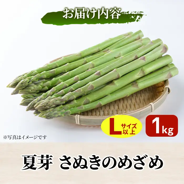 ＜期間限定！2026年6月上旬以降順次発送＞夏芽！太物(Lサイズ以上)さぬきのめざめ アスパラガス(約1kg・Lサイズ以上) 香川県 国産 野菜 アスパラ 新鮮 冷蔵便 【man084-B】【Aglio nero】