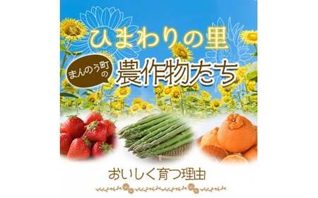 ＜期間限定！2026年6月上旬以降順次発送予定＞ホワイトコーン(約3kg/通常品) 香川県 国産 とうもろこし トウモロコシ 新鮮 冷蔵便 【man110・man111】【Aglio nero】