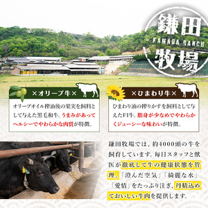 ＜数量限定＞ 香川県産 ひまわり牛切り落とし (400g) 国産 牛肉 冷凍 グルメ 【man147】【カワイ】