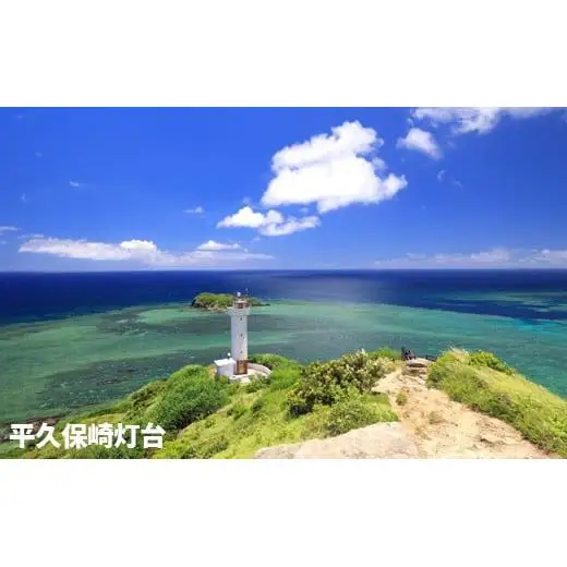【石垣市】しろくまツアーで利用可能なWEB旅行クーポン (6,000円分)WB-2