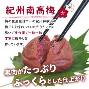 【1126-2】しそ漬け梅干し（紀州南高梅）1.6kg 中粒 2L 和歌山県産