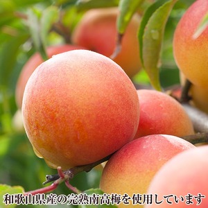 【8031-2】【定期便5回】紀州南高梅しそ漬つぶれ(塩分約15％)