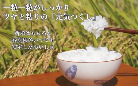 【令和8年度新米】先行予約受付 数量限定 白米(特別栽培農産物)元気つくし 5kg×2袋 (計10kg)