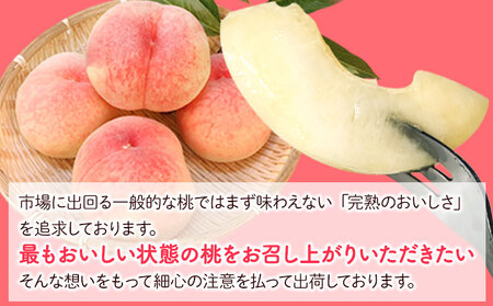 【先行予約】桃 約2kg（6-9玉） 岸武青果株式会社《2026年6月下旬-8月末頃出荷》｜桃 もも モモ フルーツ 果物 白鳳 清水白桃 川中島白桃  和歌山県産の桃 紀の川市の桃 和歌山の桃