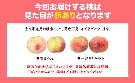 訳あり 和歌山の桃 約2kg (約6~9玉入) 岸武青果株式会社《2026年6月下旬-8月末頃出荷》｜桃 もも モモ フルーツ 果物 白鳳 清水白桃 川中島白桃  和歌山県産の桃 紀の川市の桃 和歌山の桃