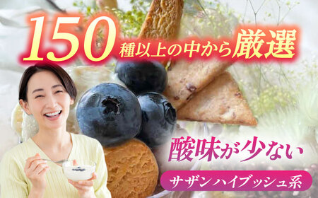 【7月より順次発送】 冷凍 ブルーベリー 250g×2 「あいさい彩ベリー」  大粒サイズ[AEBZ003]