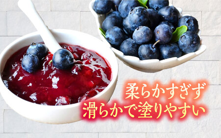 ブルーベリー バター 150g×2 ブルーベリージャム[AEBZ004]