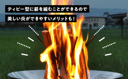 薪立て ステンレス 薪スタンド 焚き火 キャンプ用品[AECA002]