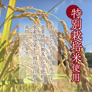 【米粉の玄米麺（スープ付）】2食入×5袋　特別栽培『コシヒカリ』使用 [h020]