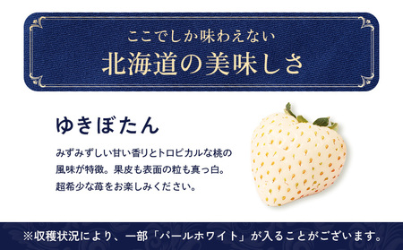 【受注後、随時発送！】【北海道産】ゆきいちご（白いちご） 2Pセット 250g×2 計500g 苺 イチゴ 白いちご 一季成りイチゴ ゆきぼたん パールホワイト 希少 高級 ギフト お取り寄せ ふるさと納税 北海道 中標津【59001】