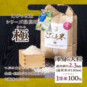 【令和7年度米】こぴっと米【極】10kg 大粒厳選・1等特別栽培米 100％ 米 精米 令和7年産 北杜市産 お米  八ヶ岳 [h020]