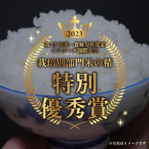 【令和7年度米】こぴっと米【農林48号】10kg　1等特別栽培米100％ 米 精米 よんぱち 幻のお米 北杜市産 お米  [h020]