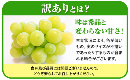 訳あり つる付き シャインマスカット 2房 【配送不可地域あり】 
