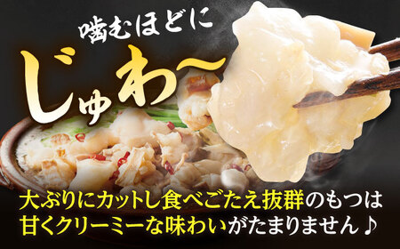 もつ鍋 あごだし醤油味（5-6人前）もつ鍋 ADAN018