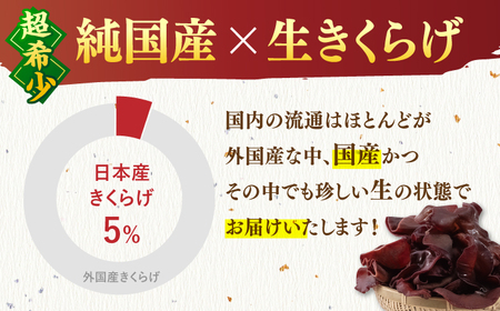 福岡県産生きくらげ 1kg ADBA001 きくらげ